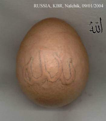 le plus bon des nons