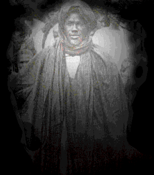 mame chiekh ibrahima fall